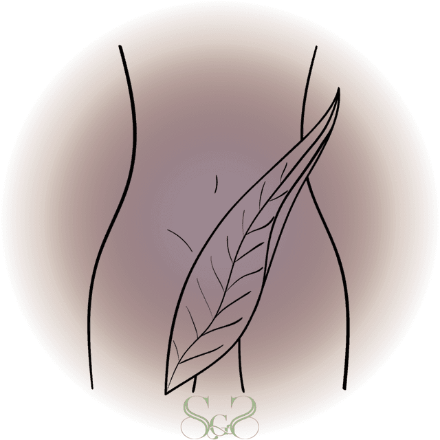 Brazilian Wax BRONZE Discount at Summit Glow Skincare in McCall, ID