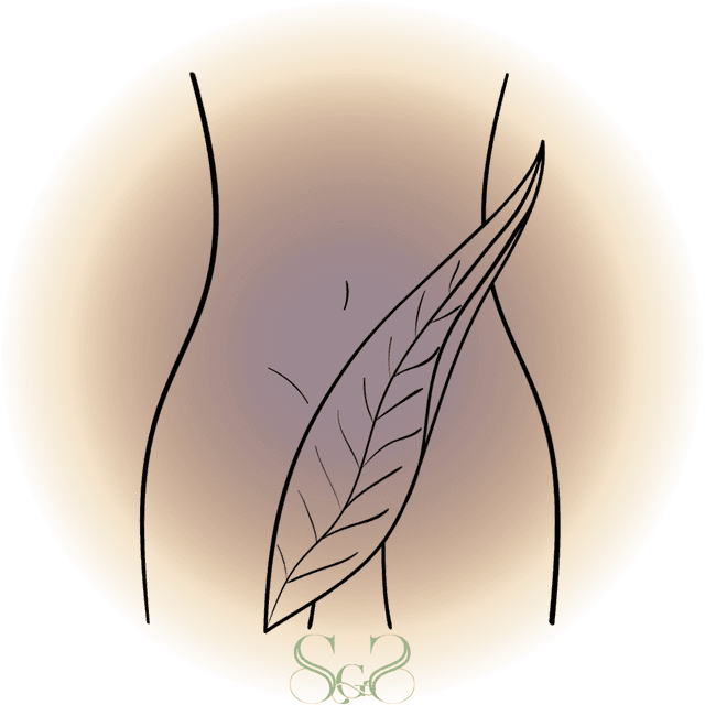 Brazilian Wax GOLD Discount at Summit Glow Skincare in McCall, ID