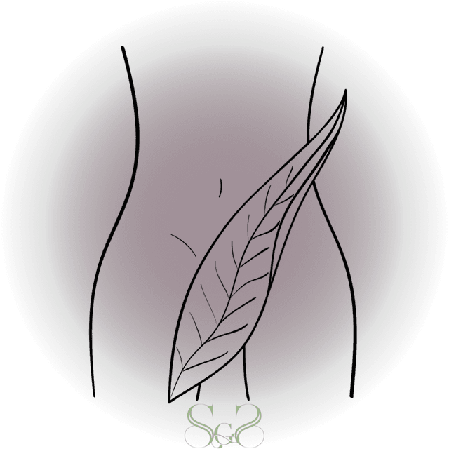 Brazilian Wax SILVER Discount at Summit Glow Skincare in McCall, ID